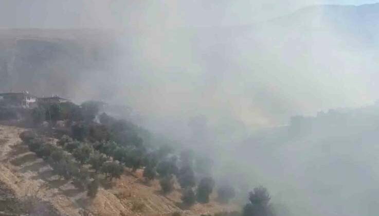 Antalya’da evlere yakın bölgede yangın