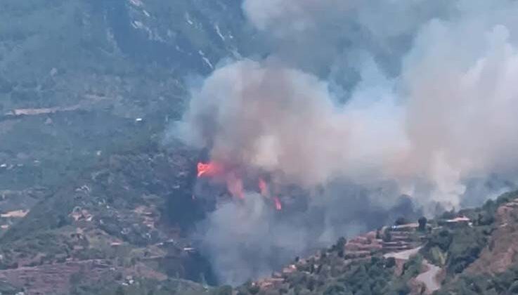 Gazipaşa’da ormanlık alanda yangın