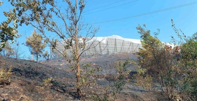 Alanya’da makilik alanda çıkan yangın kısa sürede kontrol altına alındı