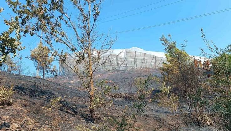 Alanya’da makilik alanda çıkan yangın kısa sürede kontrol altına alındı