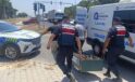 Kanserle savaşını kazandı, trafikte hayatını kaybetti
