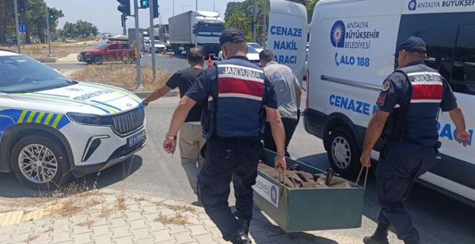 Kanserle savaşını kazandı, trafikte hayatını kaybetti