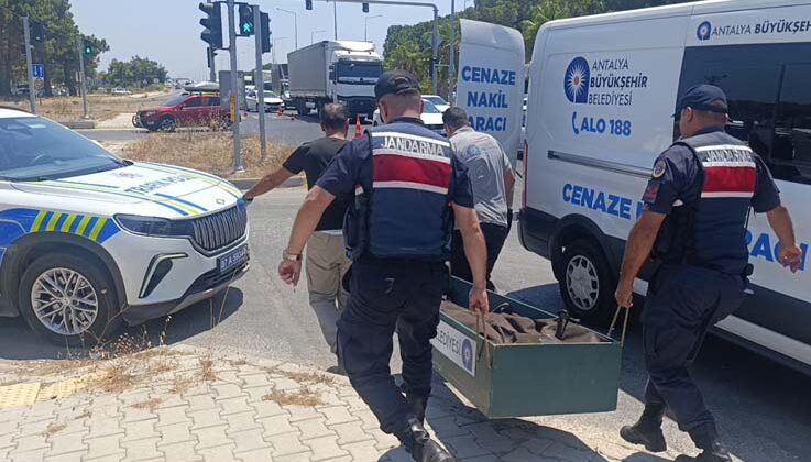 Kanserle savaşını kazandı, trafikte hayatını kaybetti