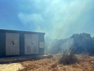 Lüks villalara yakın noktada çıkan yangın korkuttu