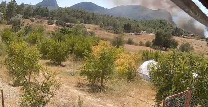 Antalya’da 3 ev, 4 ahırın yandığı orman yangınının başladığı an güvenlik kamerasında
