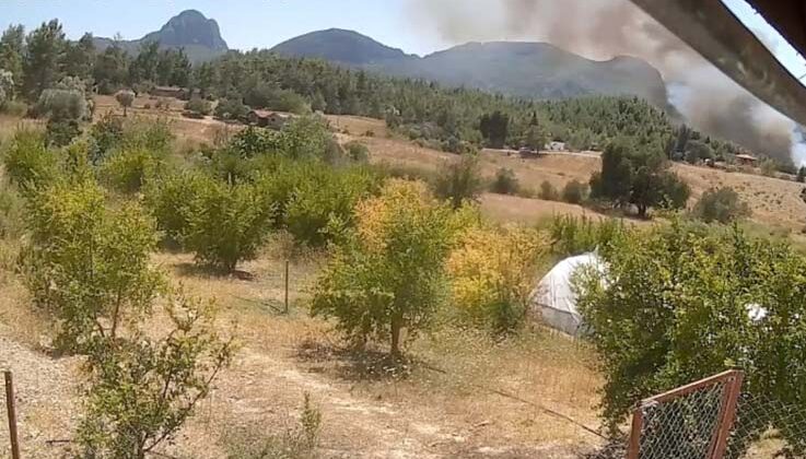 Antalya’da 3 ev, 4 ahırın yandığı orman yangınının başladığı an güvenlik kamerasında
