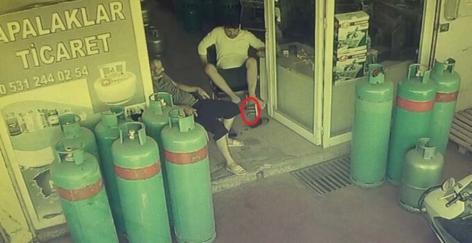 Dükkana giren yılan, esnafı sokağa fırlattı