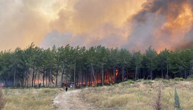 Antalya’da orman yangını