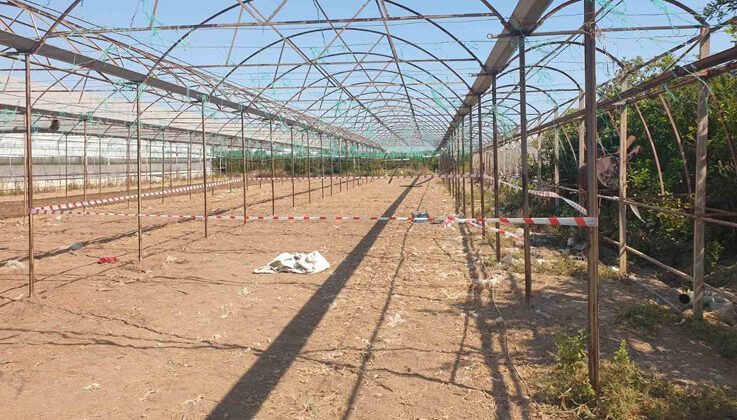 Antalya’da serada cinayet: 2 ölü
