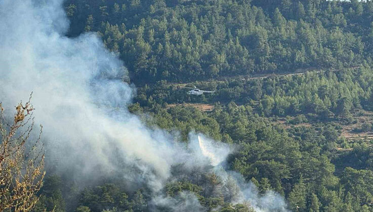 Manavgat’ta ormanlık alanda yangın